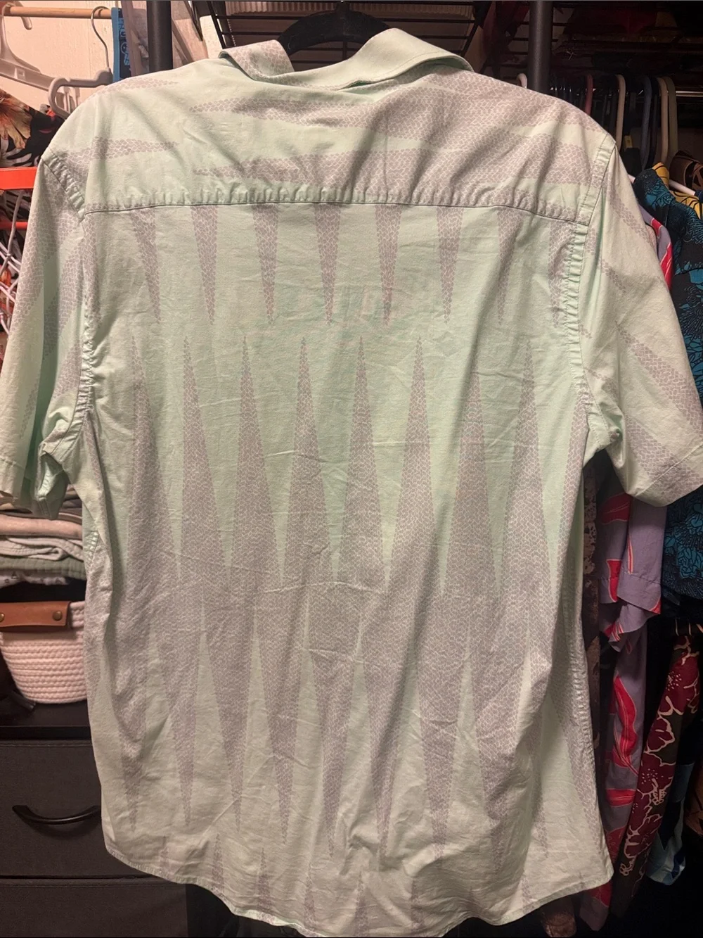 Manaola Mint Green Short-Sleeve Button-Down Shirt